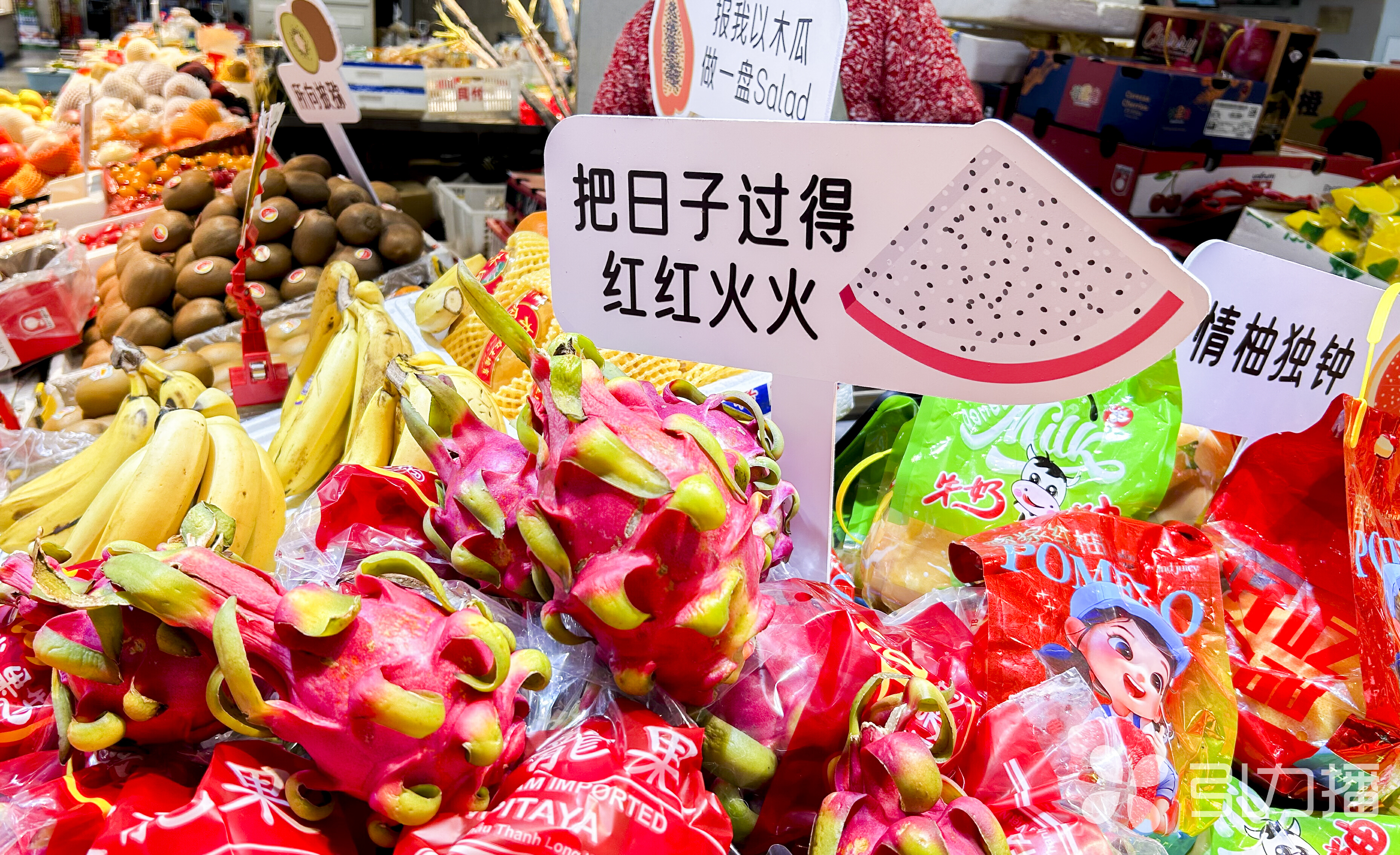 校园楼道美术馆改造_苏州园区工业设计_苏州工业园区艺术进社区活动